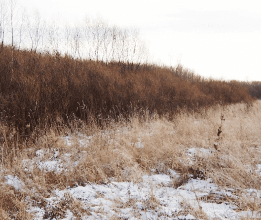 11_mp01_1.png_product